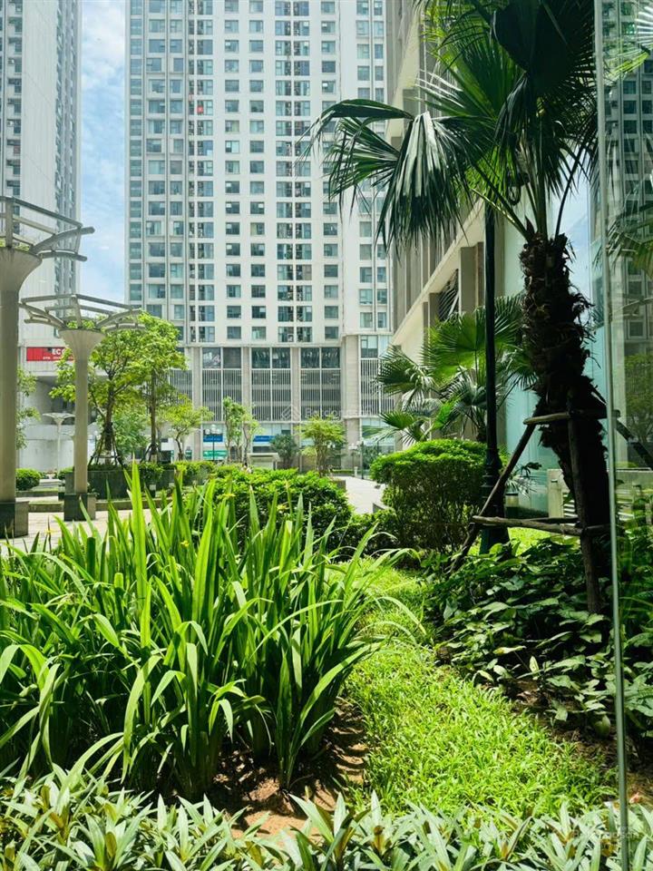 Chính chủ tôi bán căn 2pn 2vs eco green, nội thất đầy đủ, có slot, sổ sẵn, full nội thất đẹp