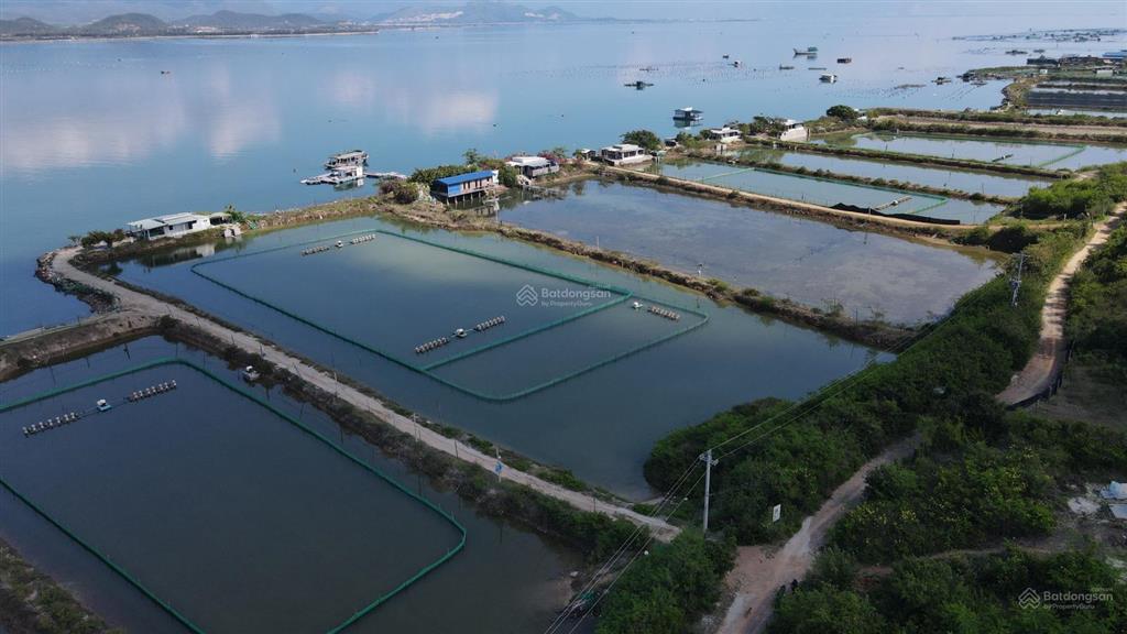 Bán đất tmdv du lịch mặt vịnh hòn khói, đông ninh hòa (ninh hải, ninh hòa cũ)