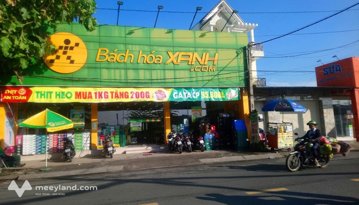 Bán nhà mặt tiền kinh doanh full thổ cư, Phan Văn Đối, Bà Điểm, Hóc Môn, 1203m2, ngang 15m, nở hậu, gần 40 triệu/m2