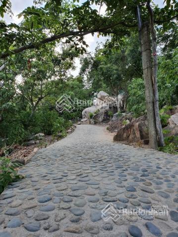 Bán mảnh đất đẹp như mơ tại vịnh vĩnh hy ninh thuận chỉ 2 triệu/m²