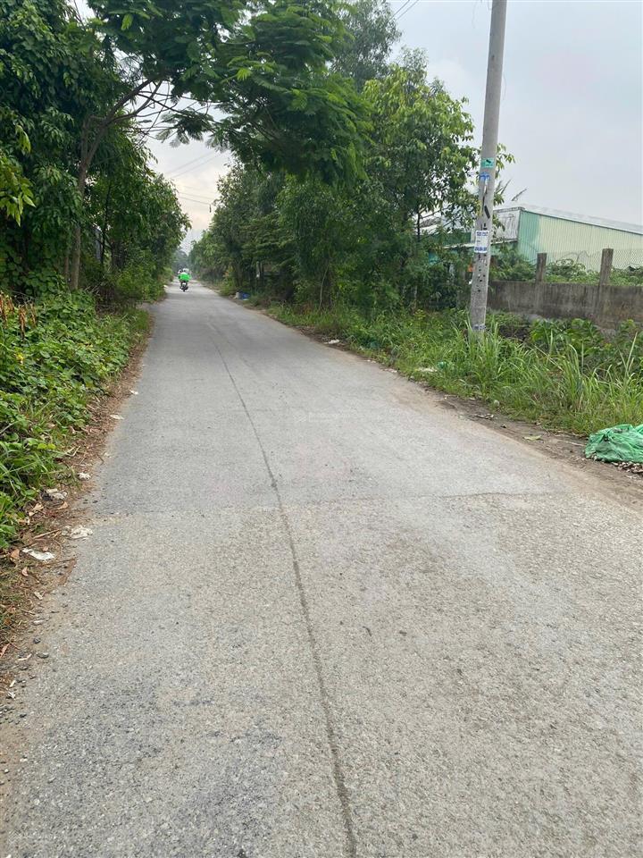 Bán đất 1.1ha đường ấp 2 xã bình chánh mới giá 77tỷ