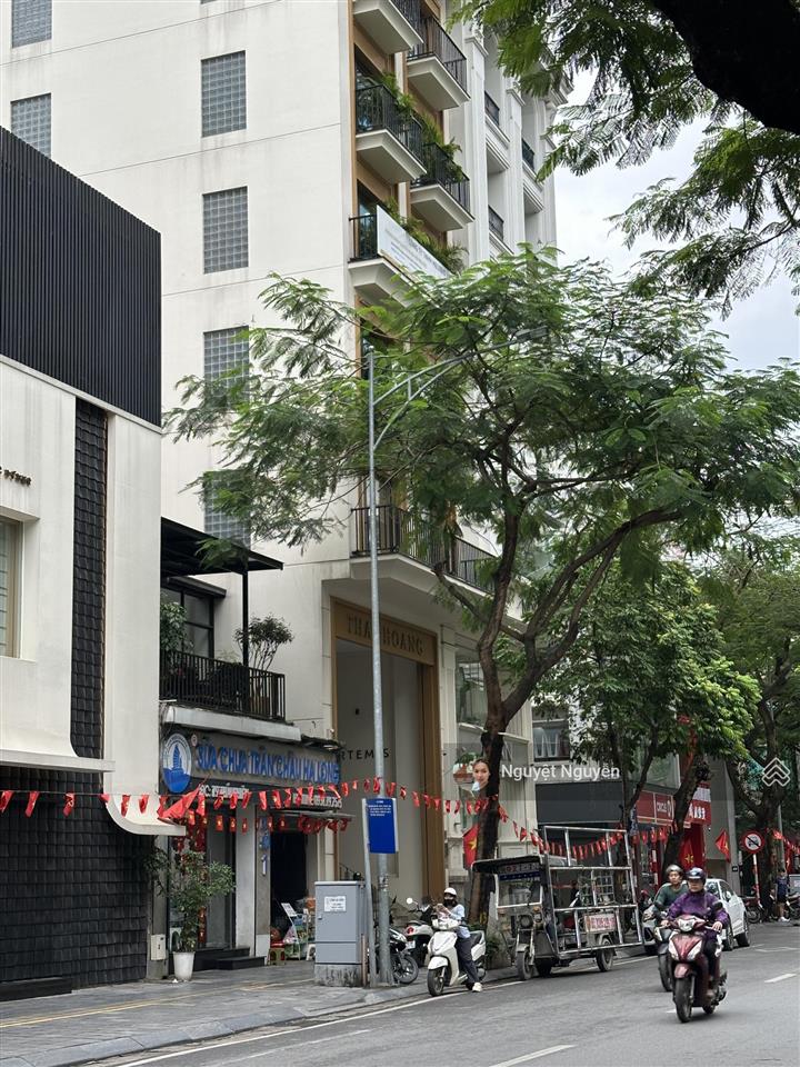Bán nhà mặt phố mai hắc đế phường bùi thị xuân gần vincom