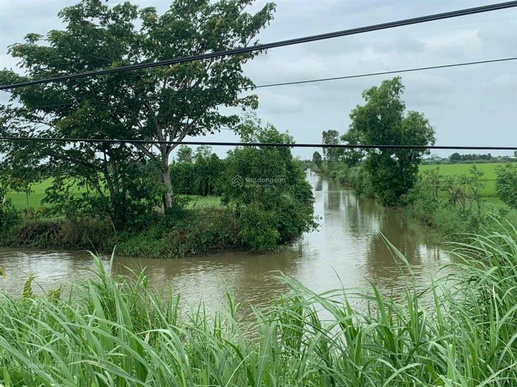 Cần bán 1,2ha đất ruộng tại vàm láng, đối diện cty ống thép. giá 3tỷ500tr. 0901 311 ***