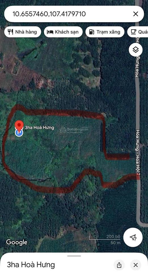 Chủ cần bán gấp đất trồng cây lâu năm. gần 3ha giá 9 tỷ có thương lượng