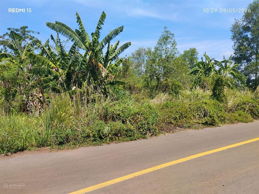 Đất trồng cây, diện tích 1737m2, mặt tiền đường nhựa 16m