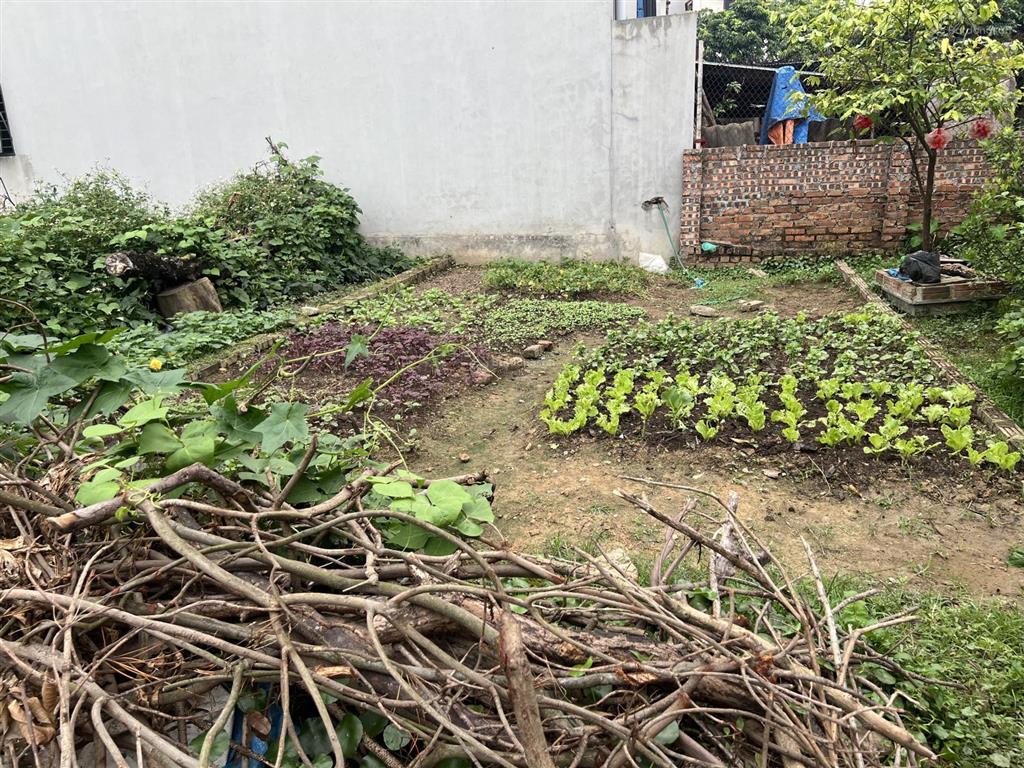 40m đất đẹp full sẵn sổ giá 2tỷ tí xíu hương đình mai đình .lô đất quá đẹp cơ hội tốt cho bạn.