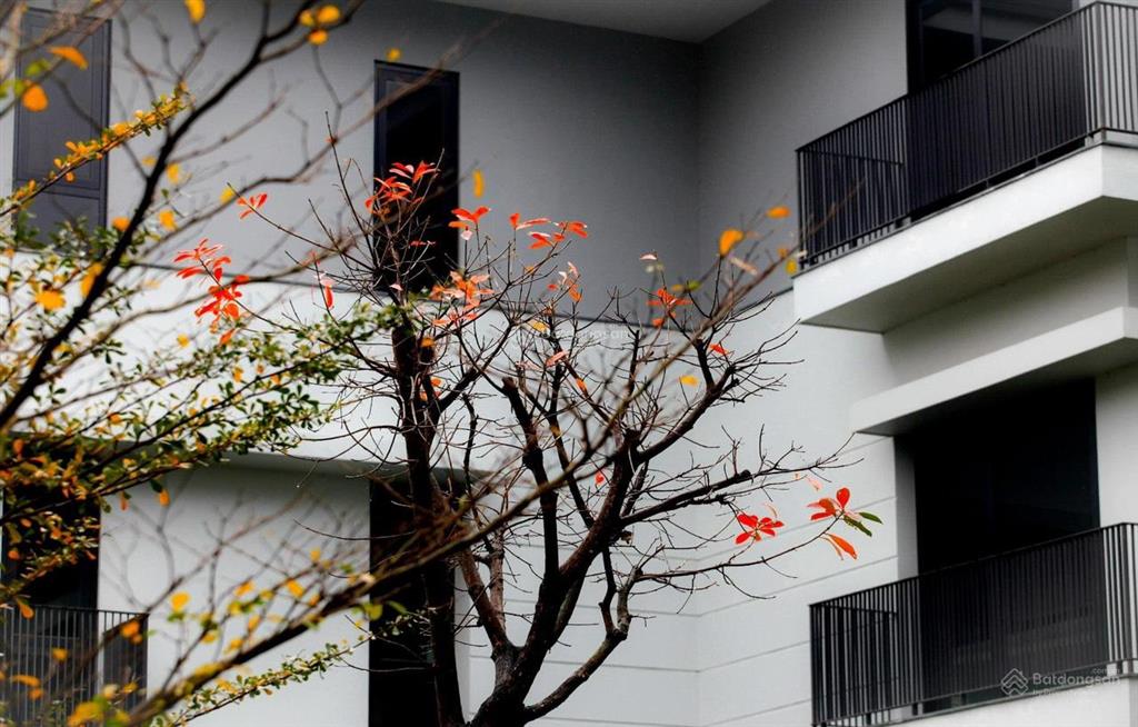 Bán biệt thự 306m2 tại khu lakeside villas mailand hanoi city. giá bán 300tr/m2, nhà thô, sổ đỏ