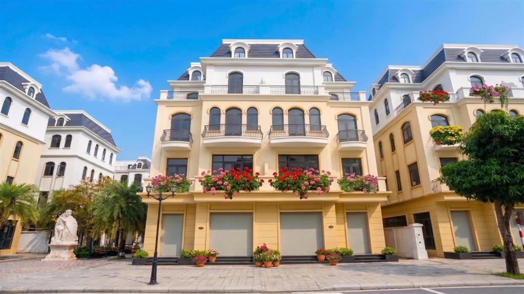 Cần bán gấp giá tốt hơn thị trường 5 tỷ song lập vinhomes ocean park 2