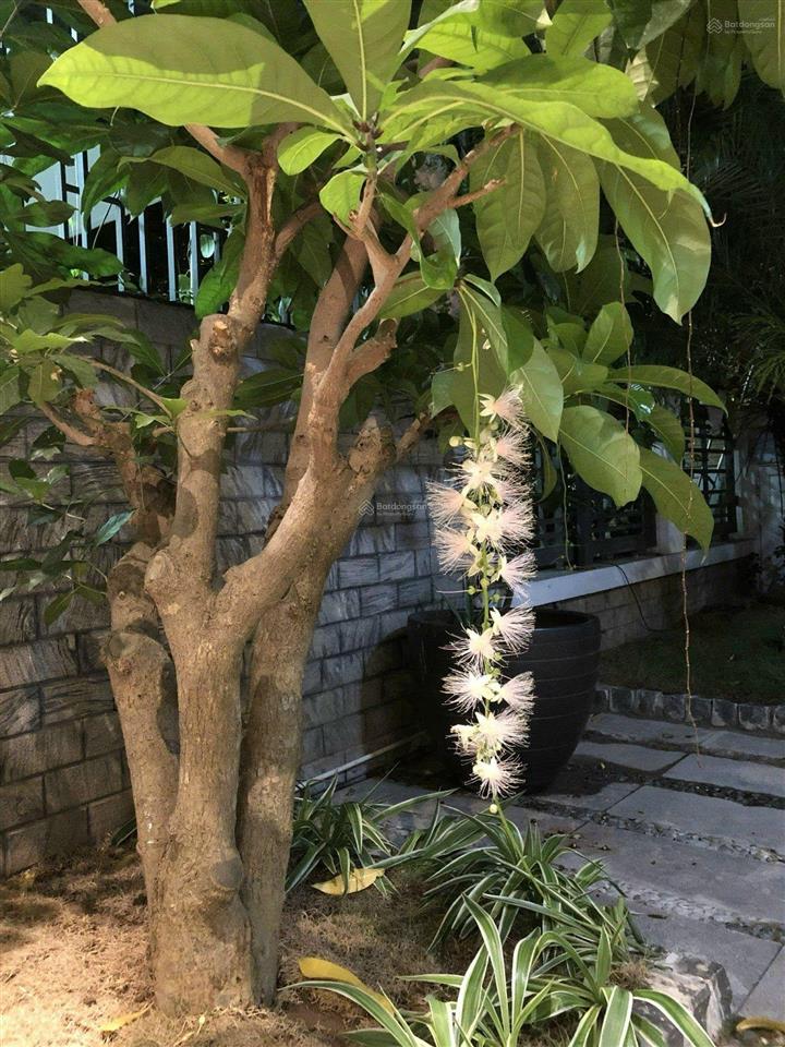 Bán biệt thự liền kề, gamuda gardens, hoàng mai, hà nội (đông tứ mệnh sẵn ở giá tốt)