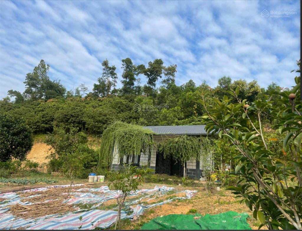 Chính chủ. bán nhà riêng & đất tại phường lê đại hành, hải phòng (phường an lạc, tp chí linh cũ)