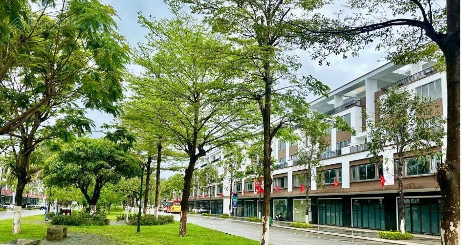 Chỉ 13 triệu/m2 đất phường cẩm thành, đường nhựa vỉa hè khu dân cư văn minh, an ninh