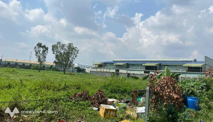 Bán đất mặt tiền đường Tiền Lân 13, Bà Điểm, Hóc Môn, 5524m2, ngang 83m, 2 mặt tiền tương lai