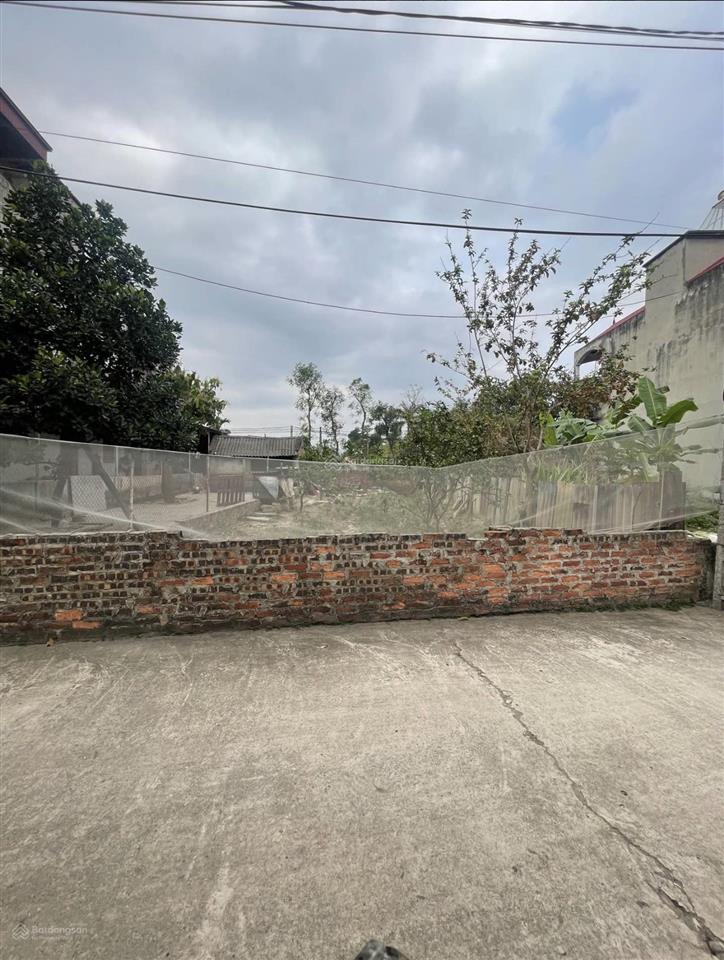 Bán 179m full mặt tiền 8m giá chỉ 26tr/1m² xuân bách quang tiến nay là xã nội bài.