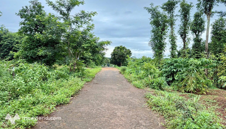 Đất mặt tiền đường nhựa Hoà Xuân, Buôn Ma Thuột - Giá yêu thương