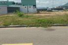 Đất Long Vân siêu phẩm 200m2, sổ đỏ trao tay, giá chỉ 5 tỷ