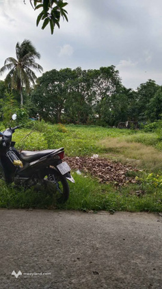 Đất ven sông Tiền, Tân Thuận Tây - Cơ hội an cư và đầu tư lý tưởng