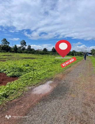 Sở hữu ngay lô đất hẻm 104 Trần Văn Ơn với giá cực sốc