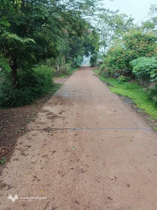 Đất thổ cư 5x40m, giá chỉ 300 triệu, chốt kèo ngay