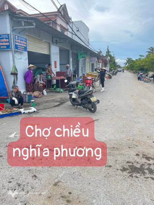 Đất mặt đường Nghĩa Phương, Nam Đồ Sơn - Vị trí đắc địa, tiềm năng sinh lời hấp dẫn