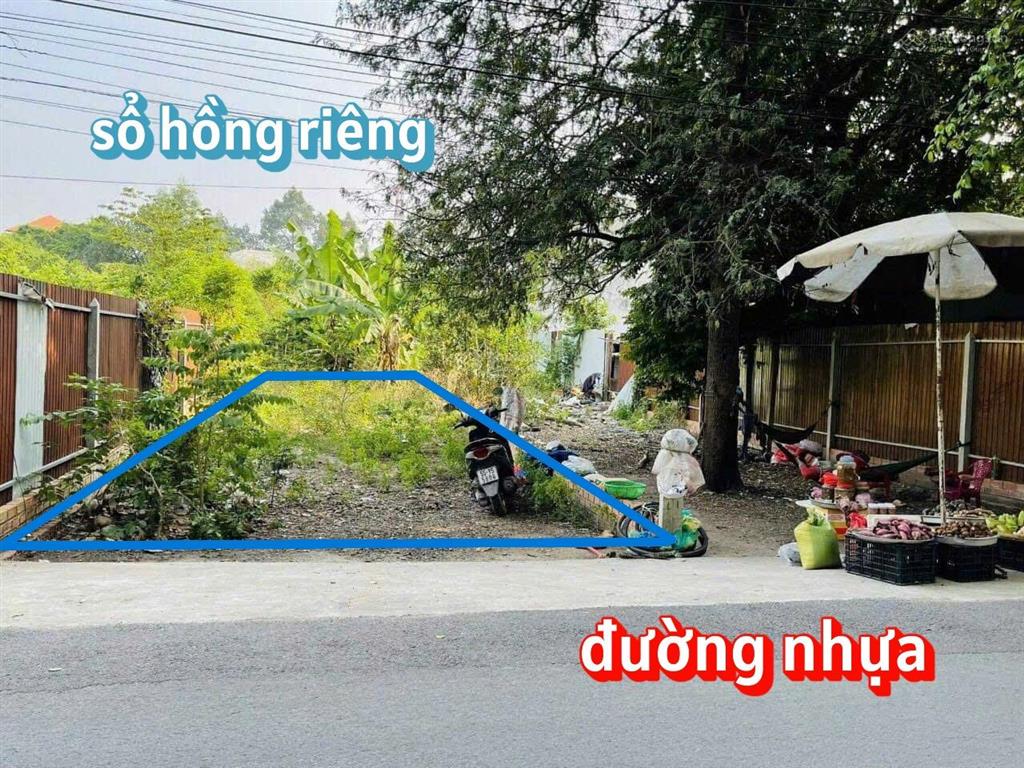 Đang kẹt tiền bán nhanh lô 131m2 đất đ. nguyễn thị lắng gần bệnh viện xuyên á & kcn giá 1,3 tỷ, shr