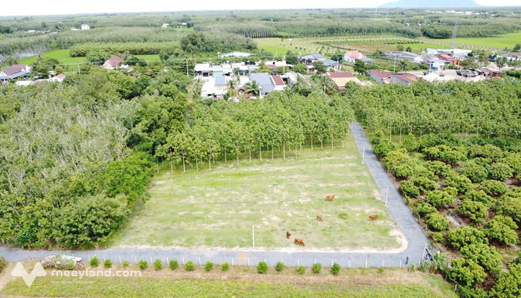 Đất thổ cư 162m2 tại Trảng Mít, Tây Ninh - Giá chỉ 395 triệu
