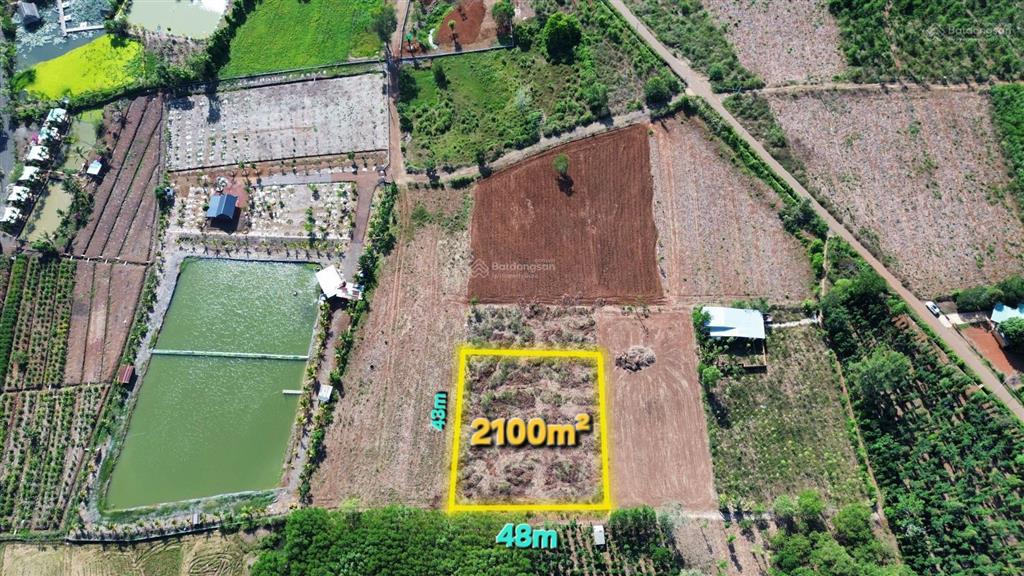 Bình giã, châu đức, brvt nay tphcm 2100m2 cln, giảm giá bán ngay chỉ 1 tỷ 550