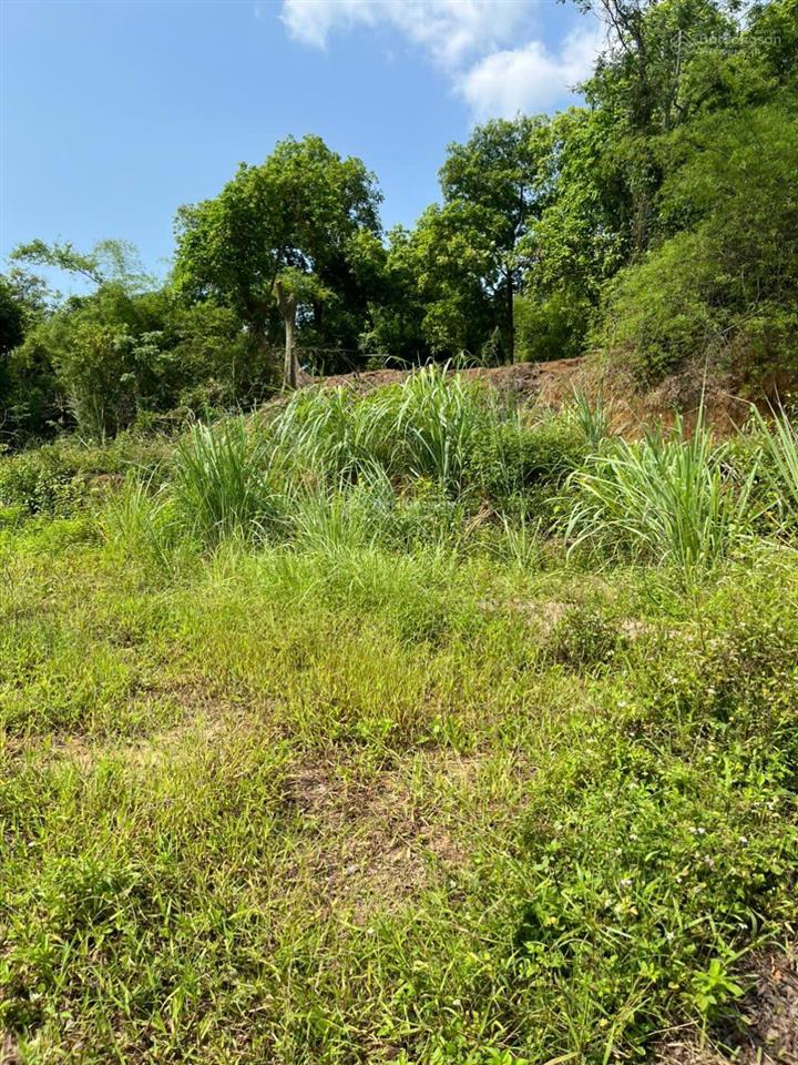 Bán đất tại phường yên thọ, 15 tỷ, 1184 m2, view đẹp, chính chủ