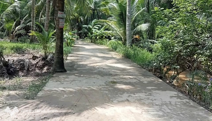 Bán gấp đất vườn dừa Hòa Lộc, Mỏ Cày Bắc, Bến Tre - 3 mặt tiền