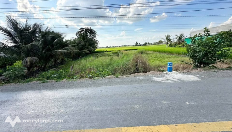 Đất thổ cư Long An giá mềm như bún, container chạy phà phà