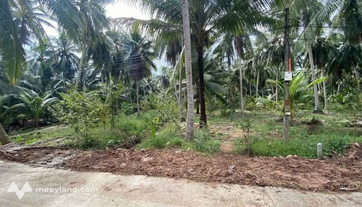 Bán nền 840m2 Phong Nẫm, Giồng Trôm - Cơ hội đầu tư sinh lời