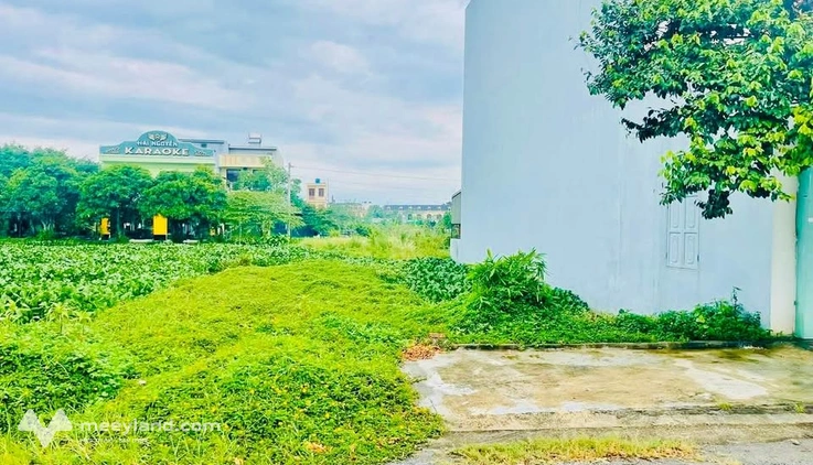 Đất vượng khí, vượng tài tại Trái Diêm 1 - Tiền Hải, Thái Bình