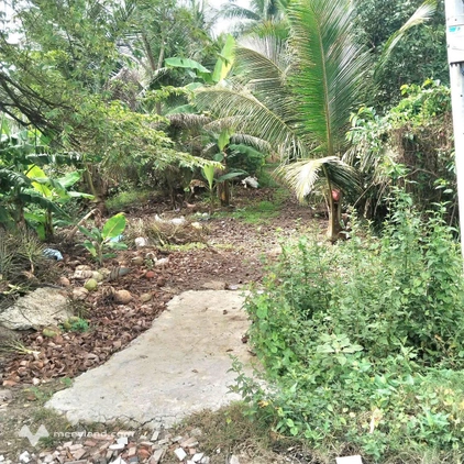 Đất mặt tiền HL173, Hữu Định, Châu Thành, Bến Tre - Diện tích 1000m2