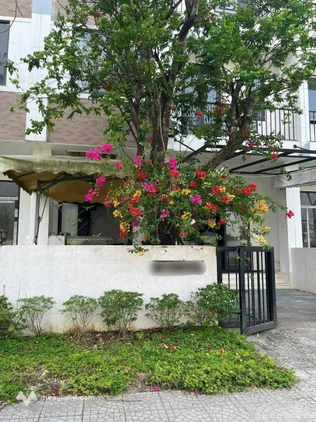 Dinh thự Hoàng Gia - Nơi an yên trở về