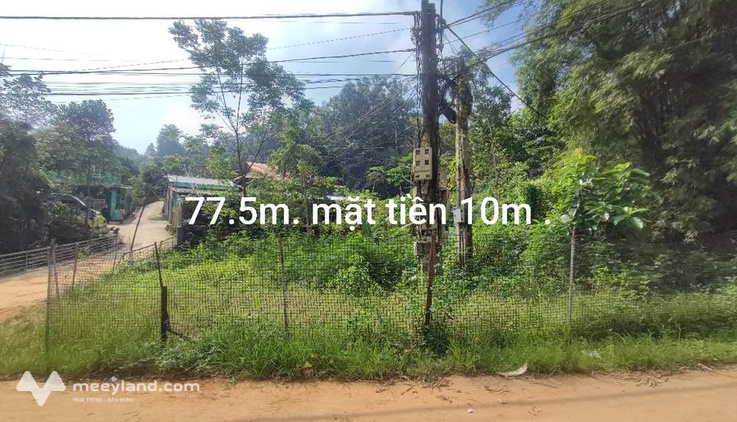 Đất Tổ 12 Tân Giang 77.5m2, mặt tiền 10m, hướng Tây Bắc/Đông Nam - Giá hời