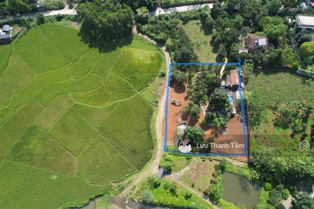 Chuyển nhượng lô đất siêu đẹp 2500m2 tại lương sơn hb view cánh đồng. cách tt hà nội 30km
