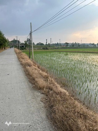 Đất vườn view sông Đồng Tháp, 3.702m2, giá 2 tỷ chốt