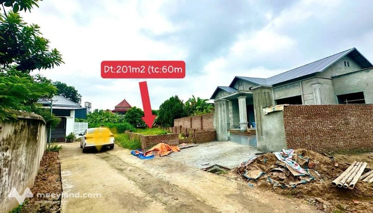 Bán đất thổ cư 201m2 tại Kim Long, Tam Dương, Vĩnh Phúc, gần KCN