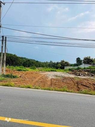 Đất thổ cư Định Quán giá chỉ từ 1.26 tỷ - Vị trí đắc địa, gần chợ đêm