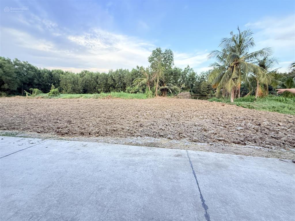 Bán đất đan, 499 triệu, 145 m², view đẹp, hiếm có tại tân trụ, long an