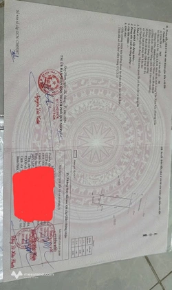 Đất Long Vân, Tuy Phước - Vị trí đắc địa, tiềm năng tăng giá vượt trội