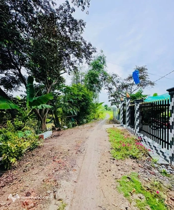 Đất vườn Thoại Sơn 918m² view kênh, mặt tiền 31m, giá 300 triệu