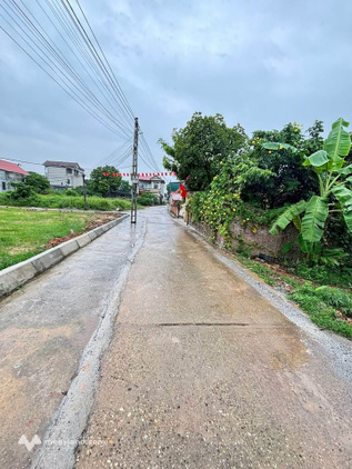 Siêu phẩm đất nền Sóc Sơn đây rồi