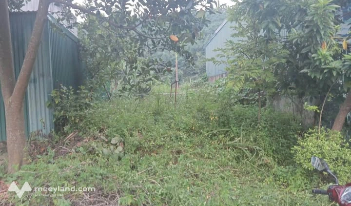 Cơ hội sở hữu ngay lô đất 105m2 đắc địa tại đường Vũ Trọng Phụng, phường Lào Cai