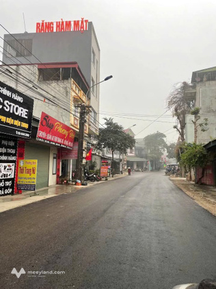 Đất vàng 303m2 sát chợ Số 8, Tam Dương - Cơ hội đầu tư sinh lời
