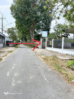 Bán đất Phú Khương mới, Bến Tre - 300m2 sổ sẵn