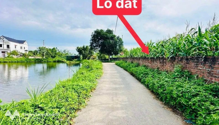 Siêu phẩm đất nền 100m2 full thổ cư tại Vinh Hoa, Tử Du, Lập Thạch, Vĩnh Phúc