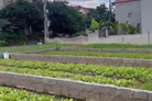 Chỉ 1,78 tỷ sở hữu ngay đất vàng 42.3m² Tự Nhiên, Thường Tín