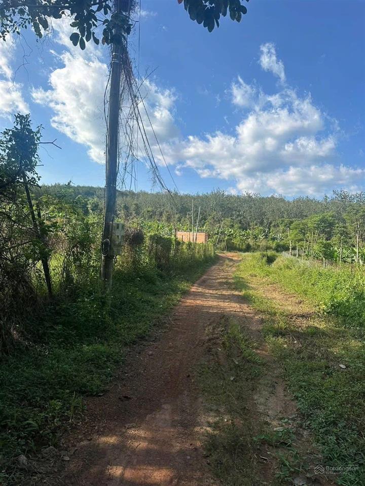 Bán đất tại thôn 1, đoàn kết, huyện bù đăng, 10,2 tỷ, 7584 m2