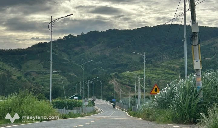 Siêu phẩm đất nền Bồng Lai, Đức Trọng, Lâm Đồng đã sẵn sàng