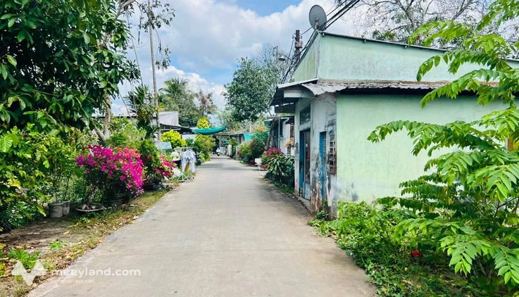 Bán nền thổ cư full thổ cư, diện tích 119m2, mặt tiền 4,2m, nở hậu 28m, hướng Tây Bắc